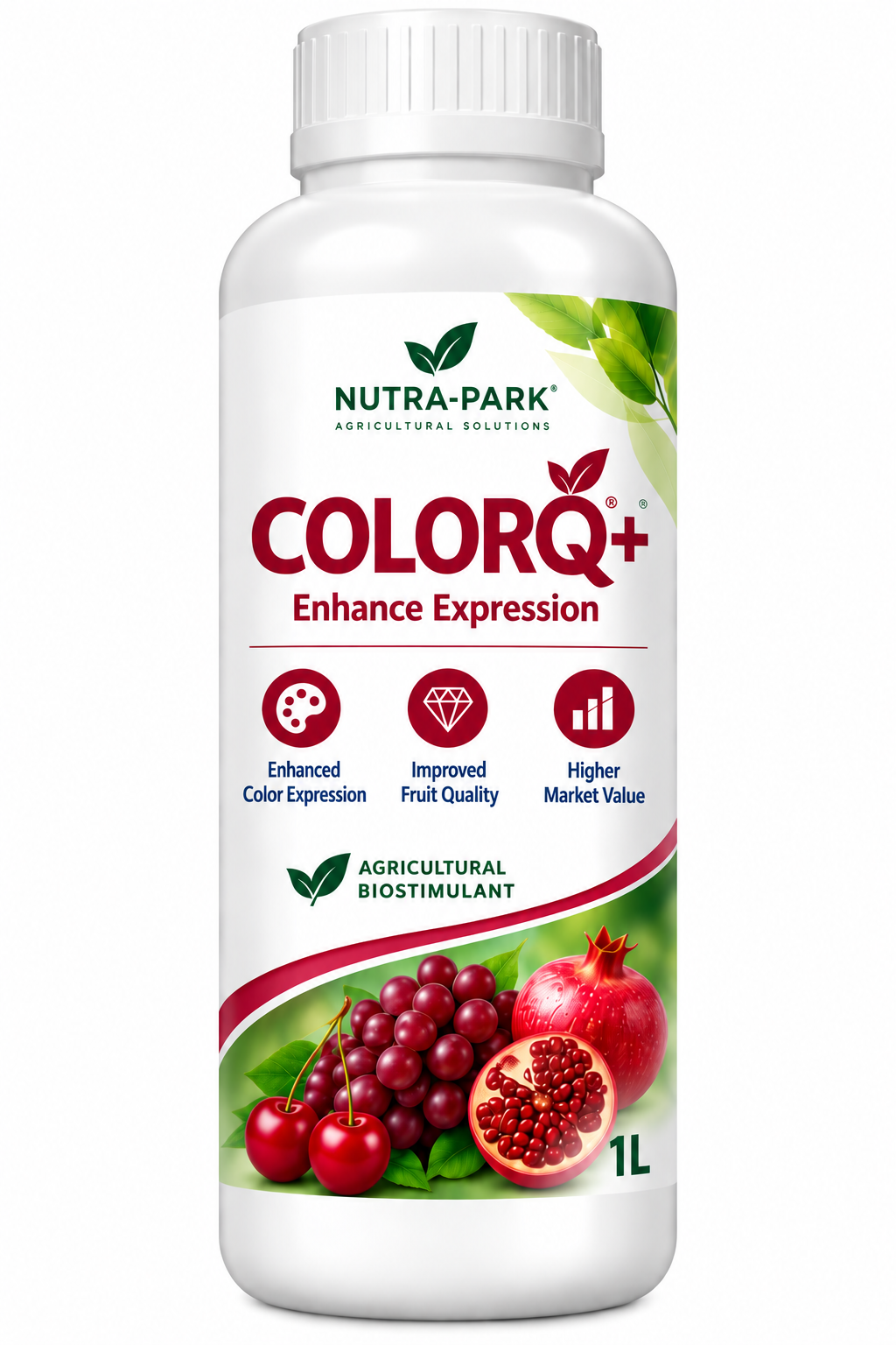 ColorQ+ bottle