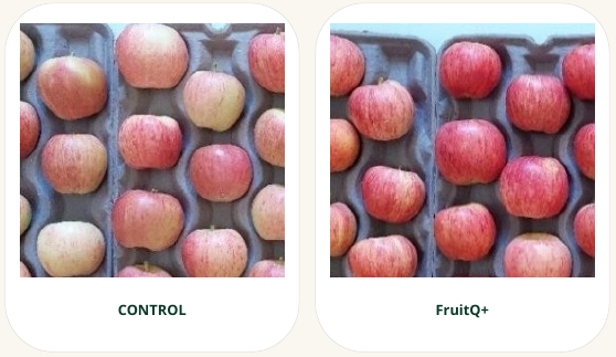 Apple control and FruitQ+ comparison