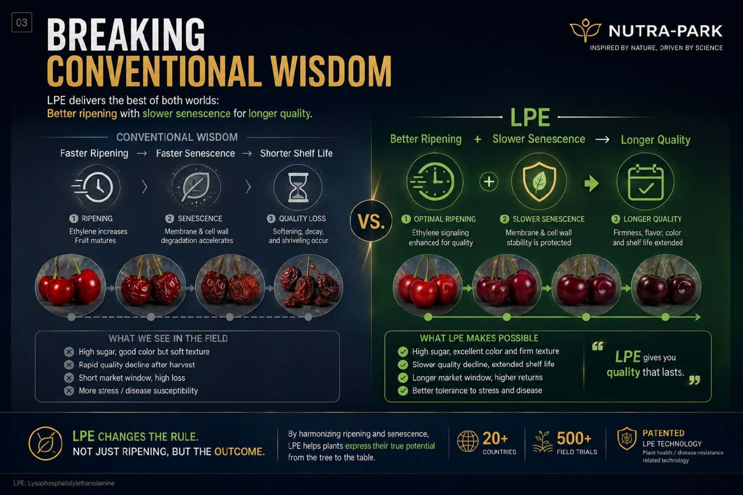 Breaking Conventional Wisdom
