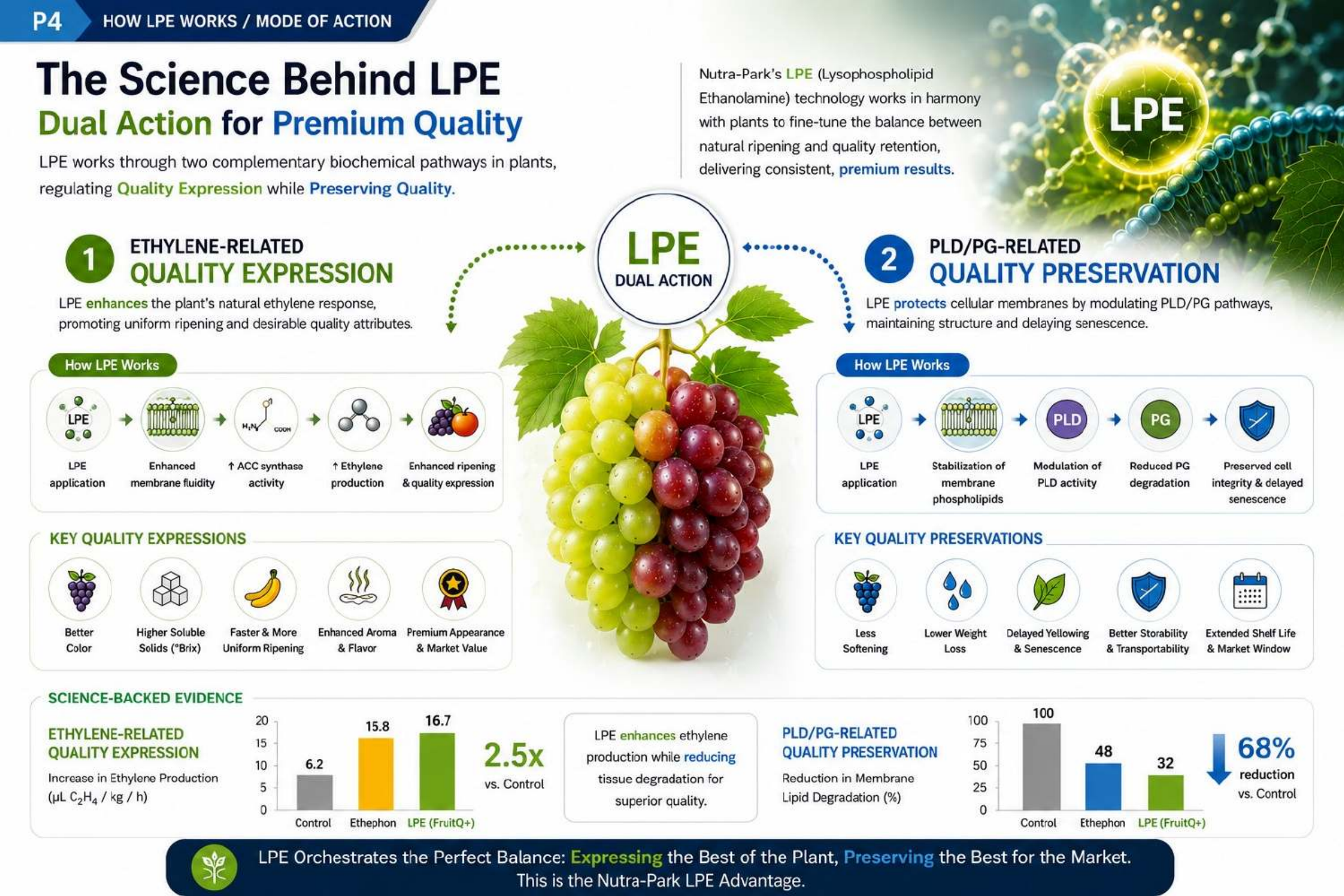 The Science Behind LPE