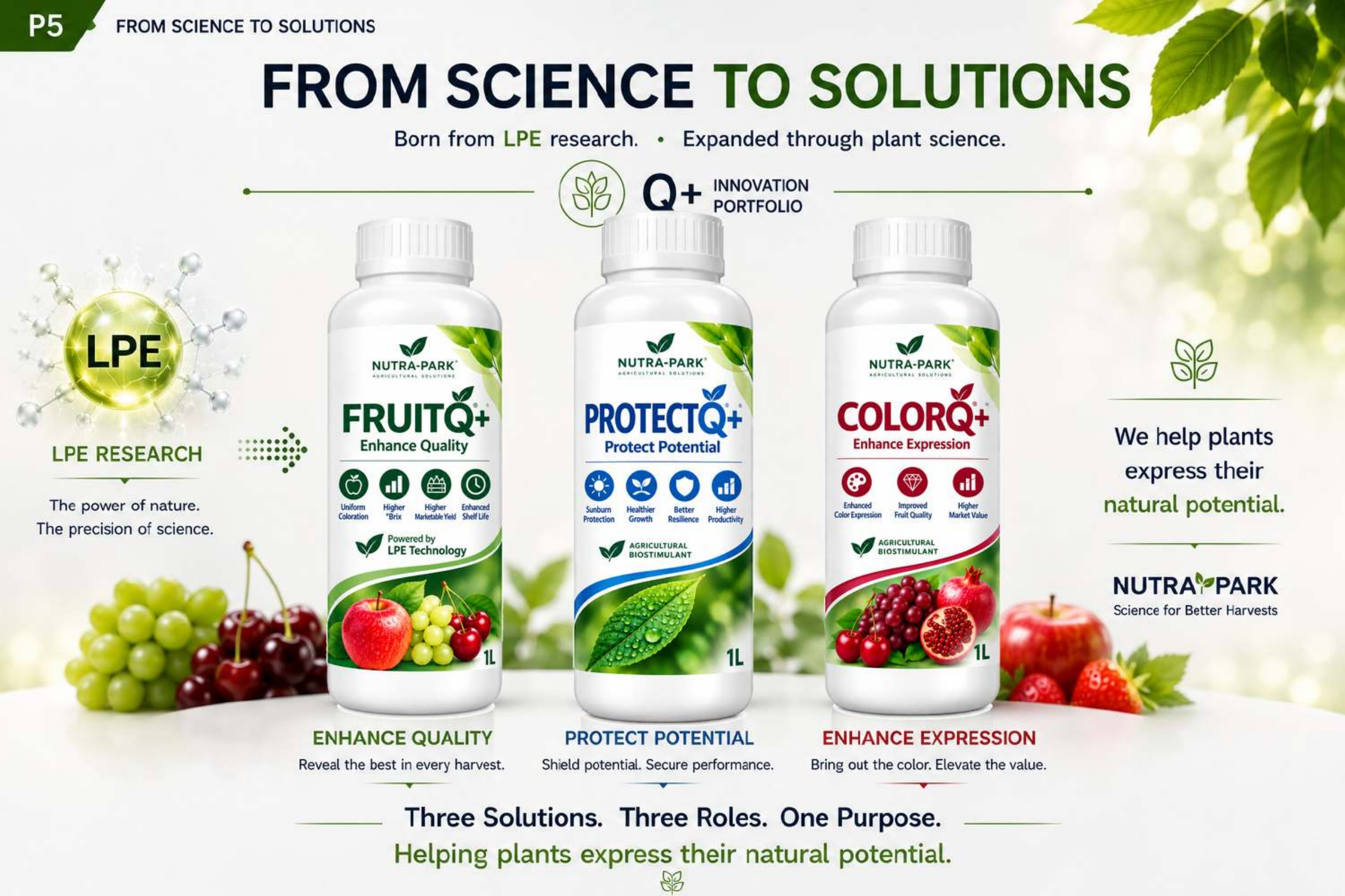 From Science to Solutions