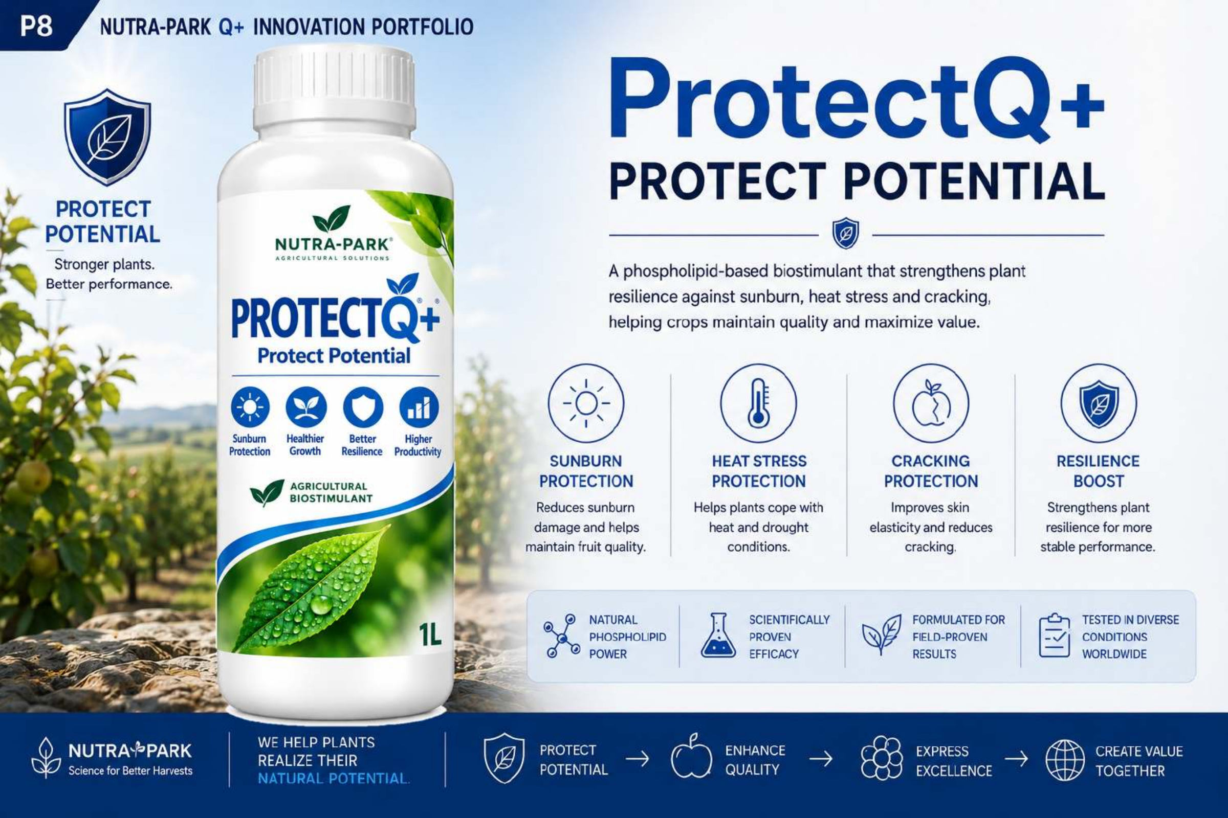 ProtectQ+ 2026 brochure product page